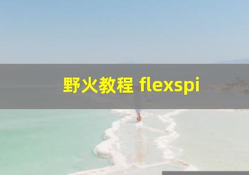 野火教程 flexspi